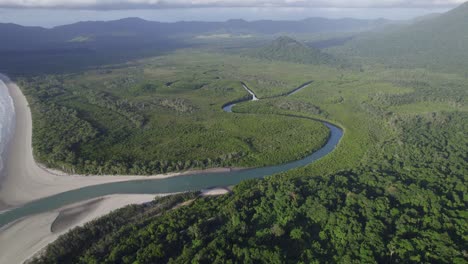 river and green vegetation near the thornton beach with panorama of daintree national park in queensland, australia