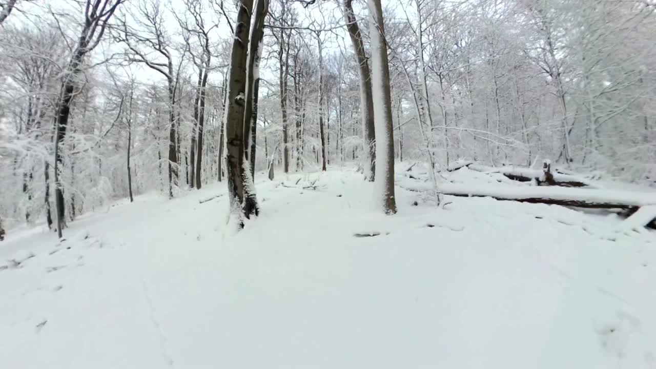 아름다운 겨울 숲을 고 있는 남자, 360° 영상, 360° vr, 작은 행성 효과