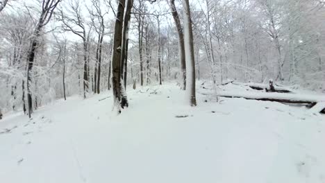 man walking through beautiful winter forest, vr360, 360vr, 360 video, 360 degree, vr, little planet effect
