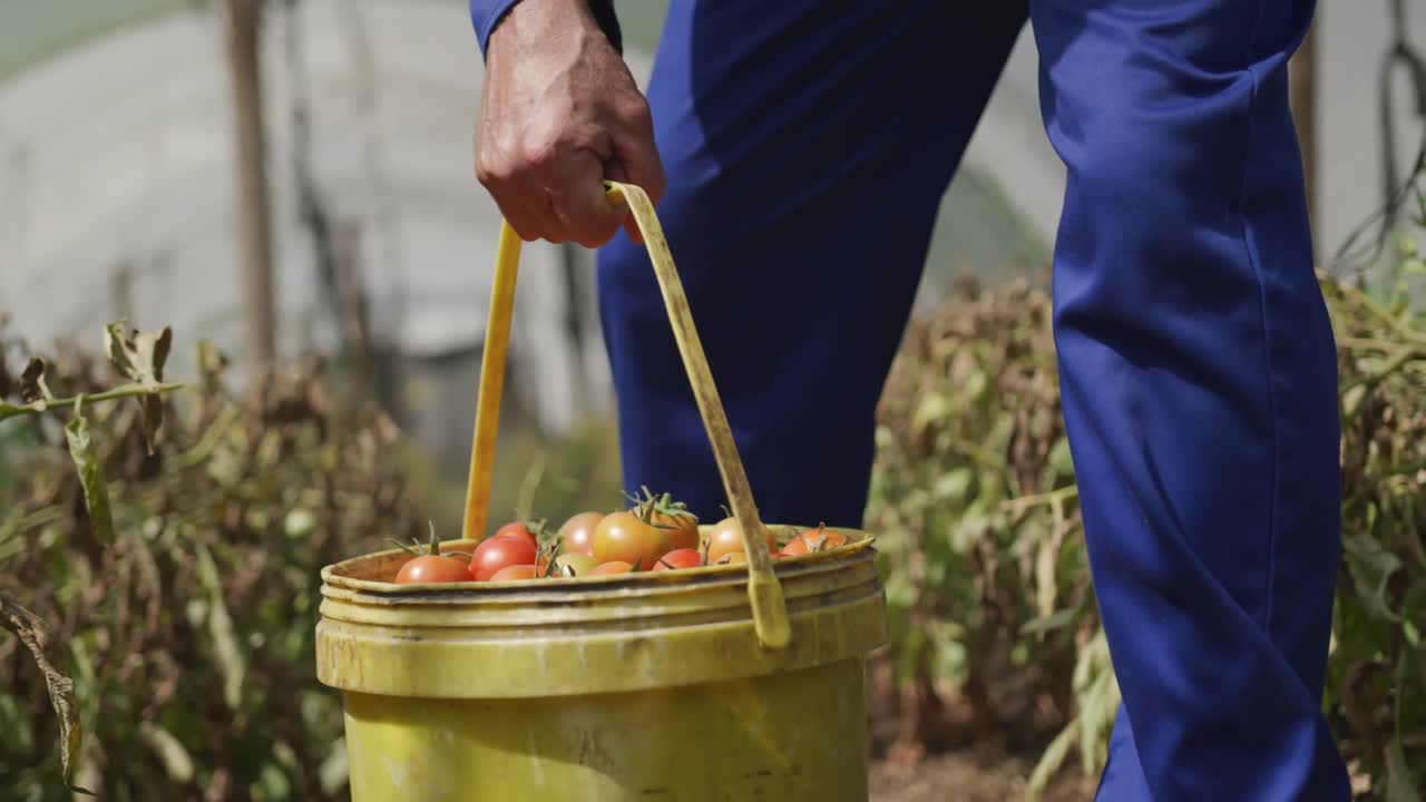 농장에서 일하는 성숙한 남자