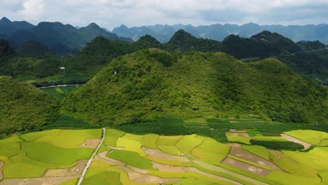 Green-meadows-and-mountains