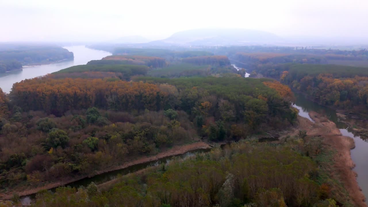 Dense Forest During Autumn Along The Danube River, Europe. Aerial Drone Shot