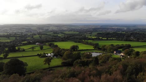 Tiro-Bajo-Aéreo-Hacia-Adelante-Sobre-Los-árboles-Con-La-Vista-Del-Valle-De-La-Nutria-Del-Río-En-El-Este-De-Devon,-Inglaterra