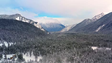 Hermoso-Bosque-De-Nieve-En-Invierno.-Volando-Sobre-Pinos-Cubiertos-De-Nieve.