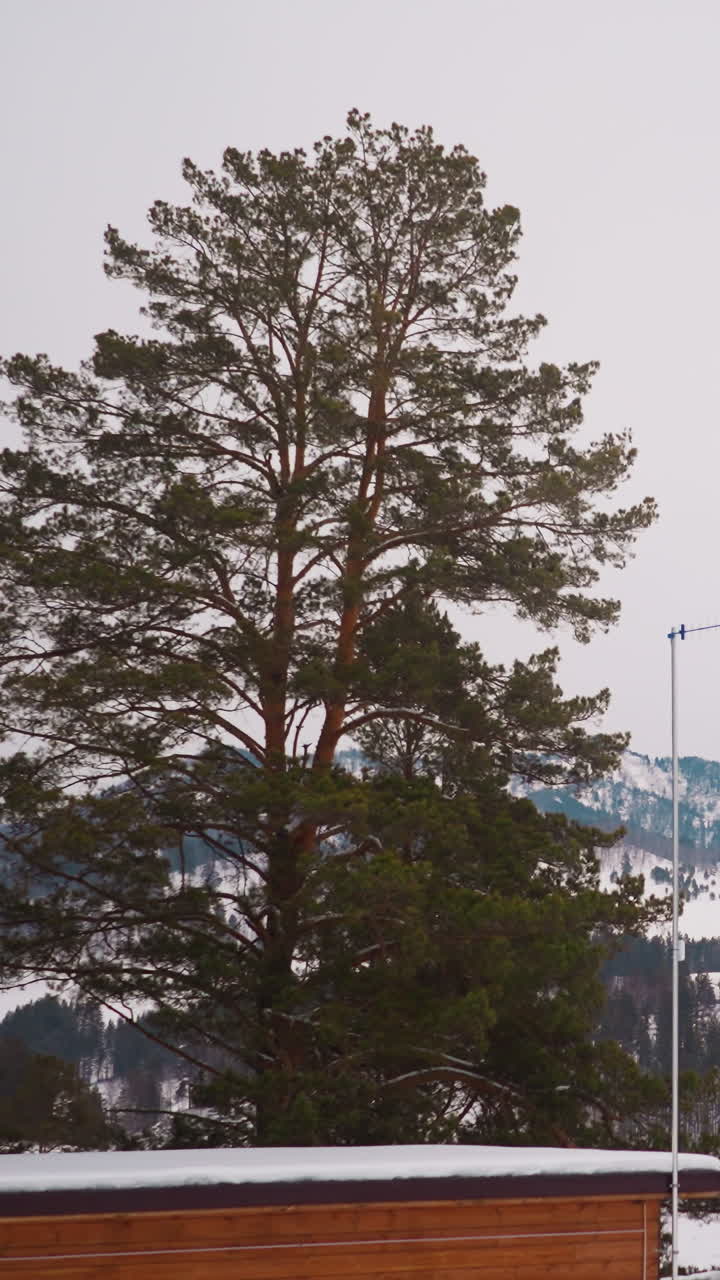 Small house roof with TV antenna against giant forestry mountains and hills in Gorny Altai region. Winter landscape of wild nature in highland under cloudy sky
