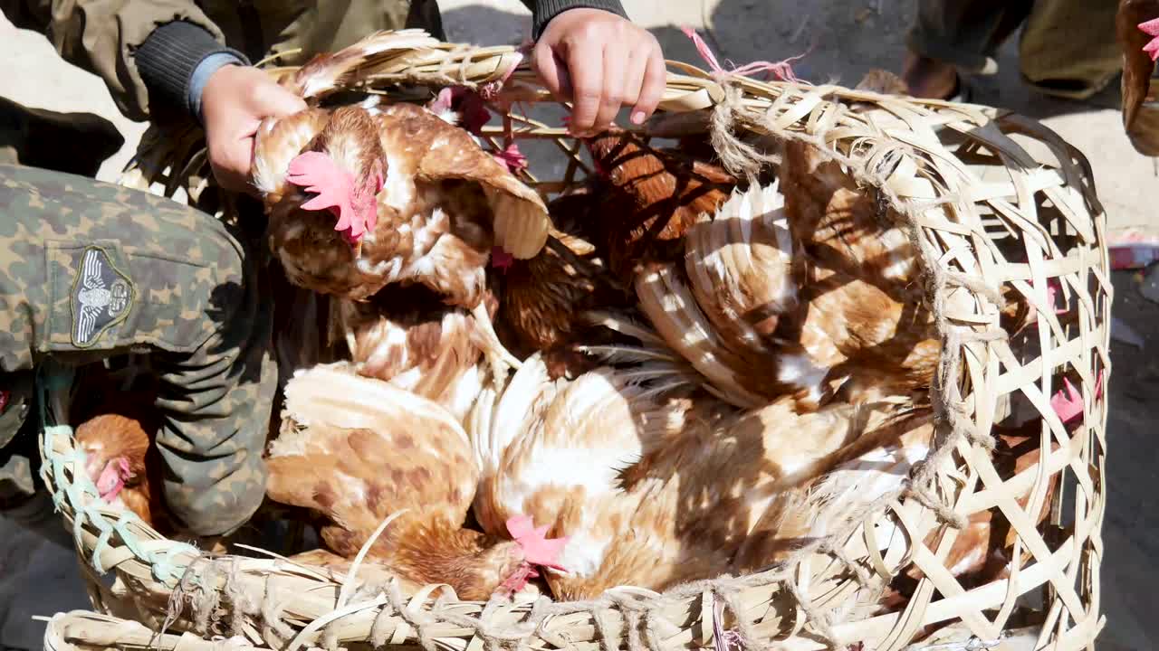 Pollo in doko in vendita nel Nepal rurale.
