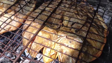 Pan-shot-of-grilled-fish