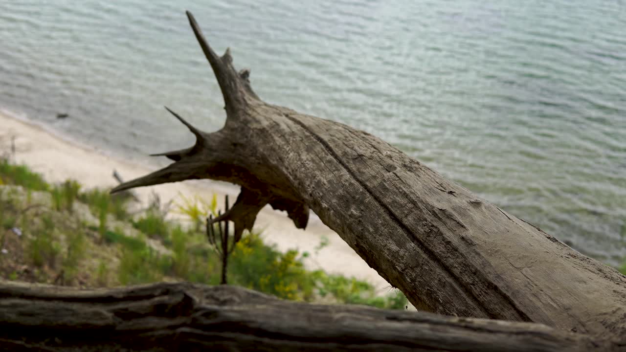 4k clif. hermosa vista del horizonte costero