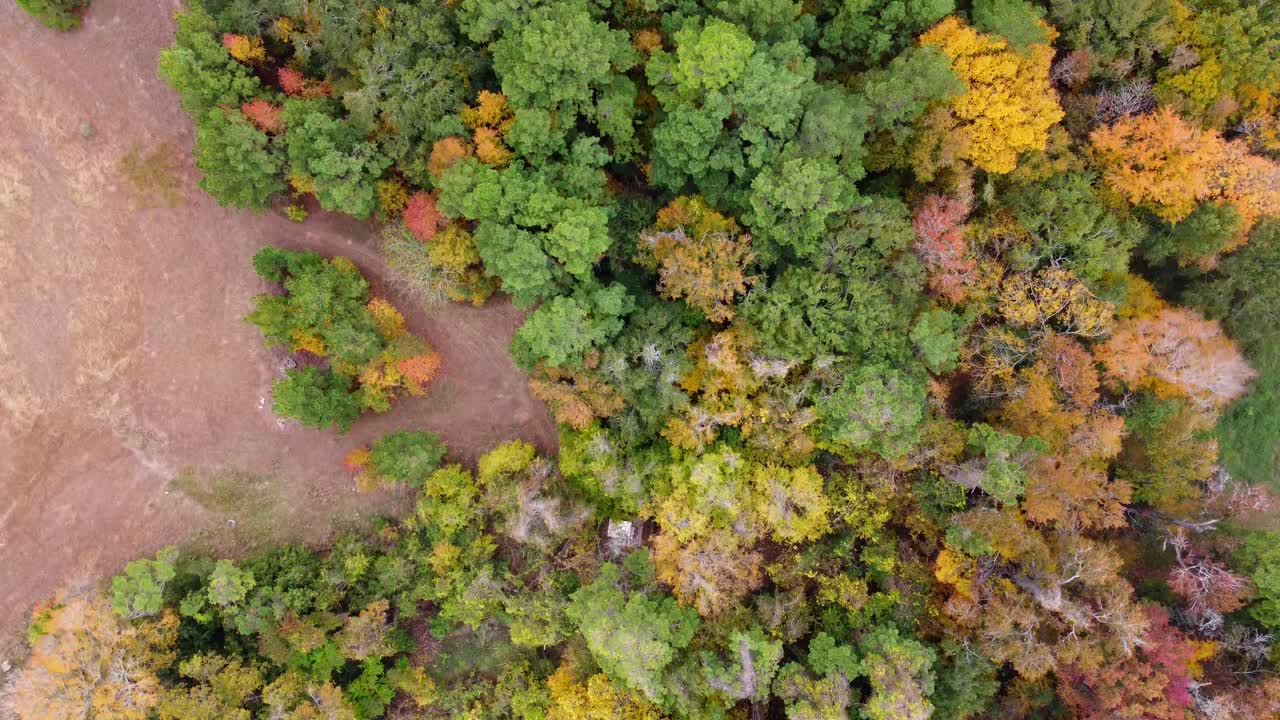 una vista aérea del follaje de texas, a 30 cuadros