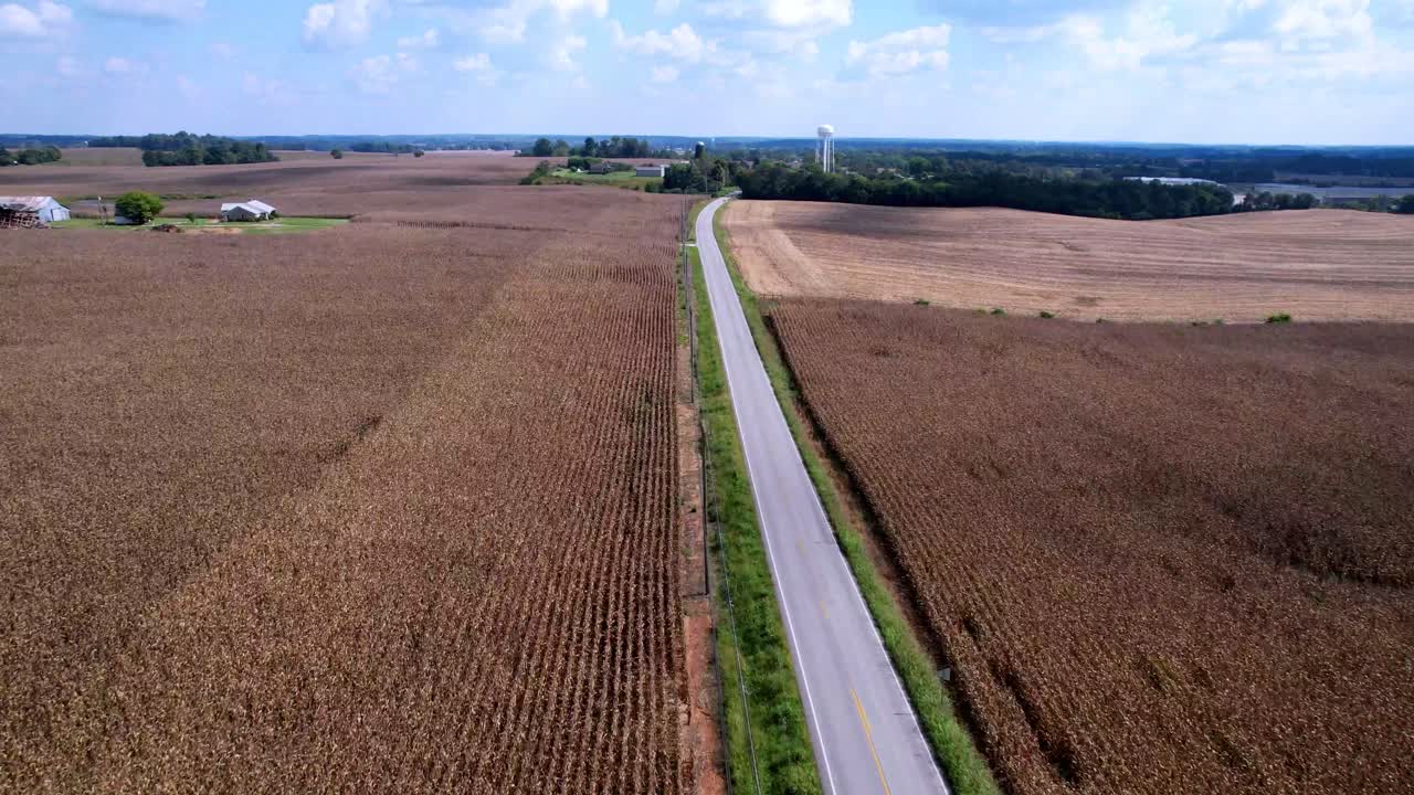 car on two lane highway through cornfield in kentucky aerial