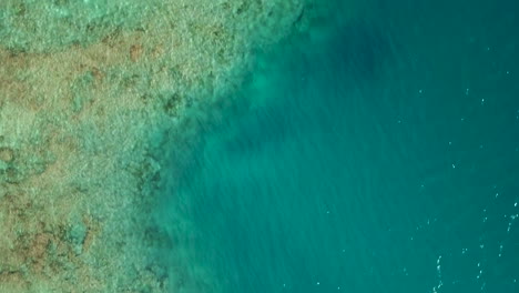 Toma-Vertical-De-Seguimiento-Aéreo-A-La-Derecha-Sobre-Increíbles-Aguas-Turquesas-Y-Arrecifes-De-Coral-De-Nueva-Caledonia