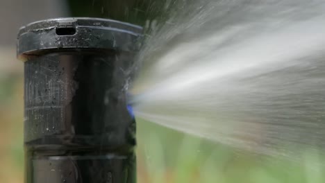 close up of a pop up sprinkler irrigating lawn and garden