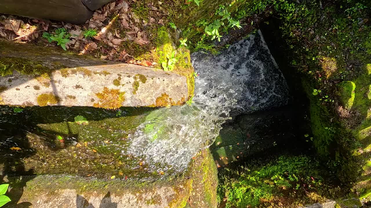 Water flowing over mossy rocks