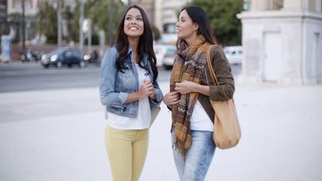 Two-stylish-women-chatting-outdoors-in-a-town