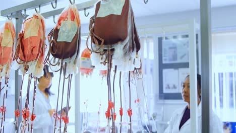 laboratory technicians analyzing blood bags 4k