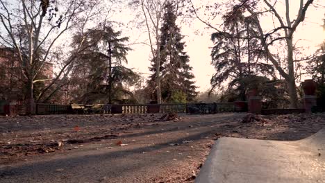 natural scene of a sunny day at the park during an autumn day with sunrays filtering trough trees and orange leaves on the ground moved by the wind, all recorded from the height of a bench