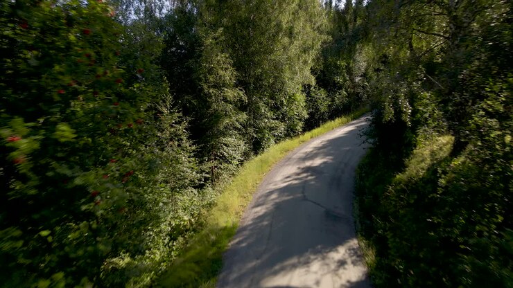 Vecchia strada che serpeggia su una montagna boscosa.