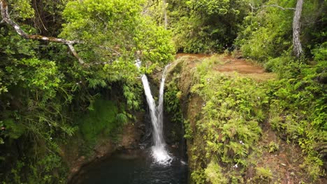 Beautiful-waterfall-crashing-into-the-water-above-the-hanging-trees