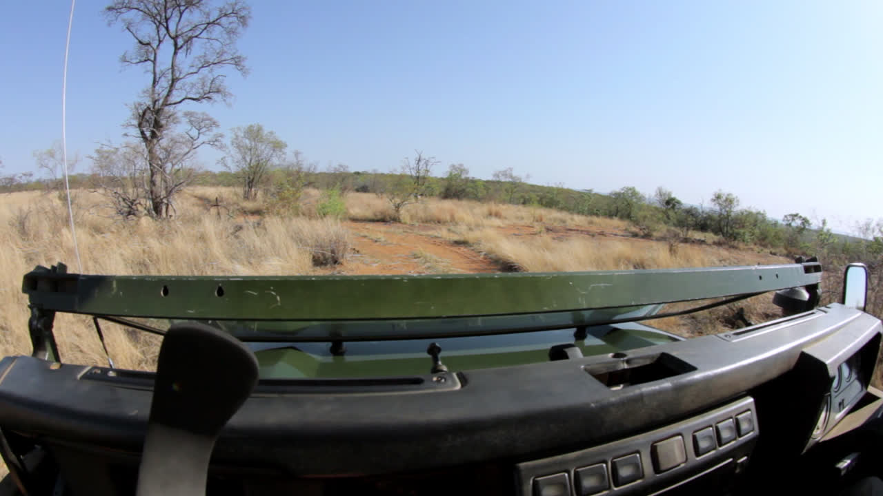 Filmed from the passenger seat of a safari jeep, driving through the bush of South Africa.