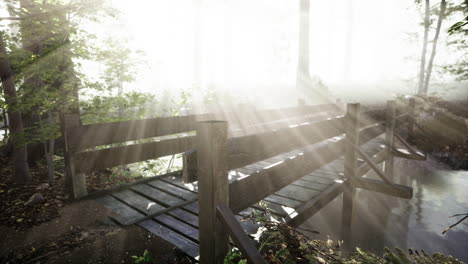 puente de madera suspendido que cruza el río a un bosque misterioso y brumoso