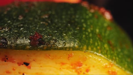 close-up of a grilled zucchini seasoned in herbs