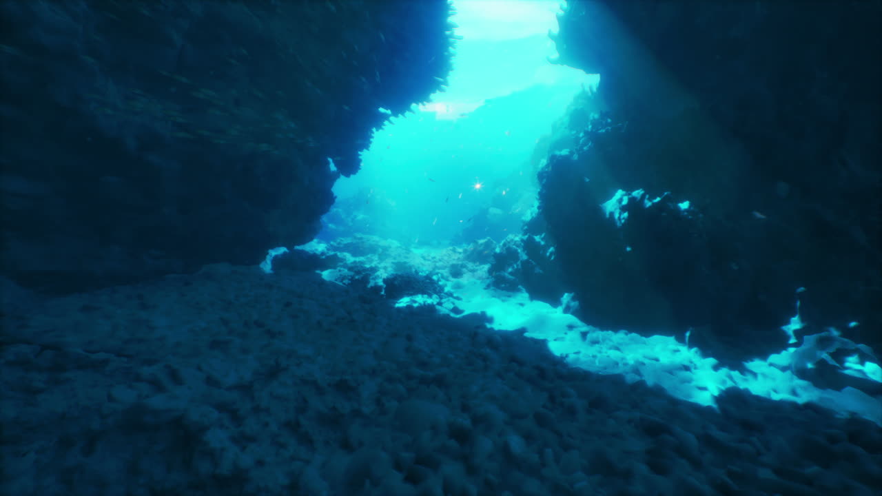 Diving into bright caves teeming with marine life and sunshine