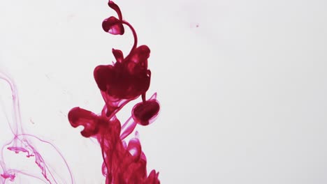video en cámara lenta de tinta de acuarela roja mezclándose en agua contra un fondo gris