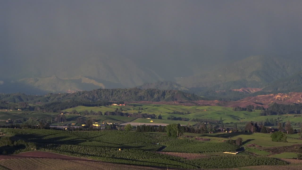 뉴질랜드 태즈만 지방의 굴곡한 언덕과 안개로 인 산맥의 드론 촬영