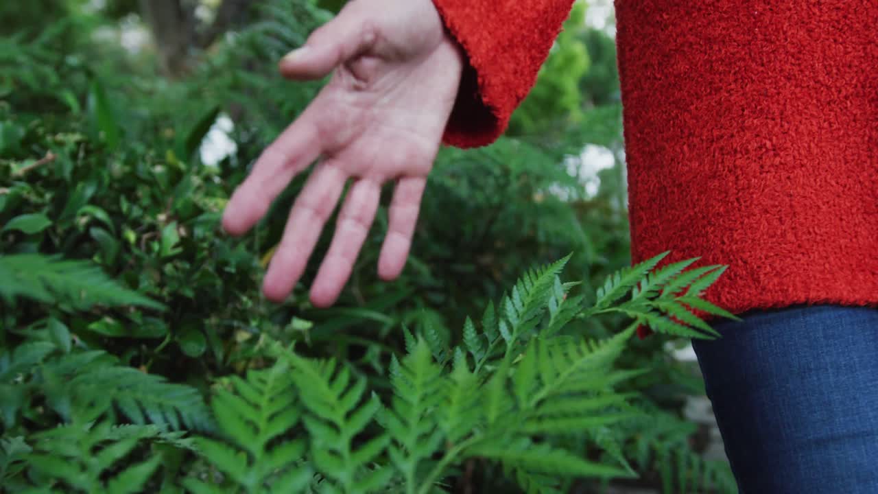 고위 백인 여성의 중간 부분이 휴식을 취하고, 정원을 걸어다니며 식물을 만지고 있습니다.