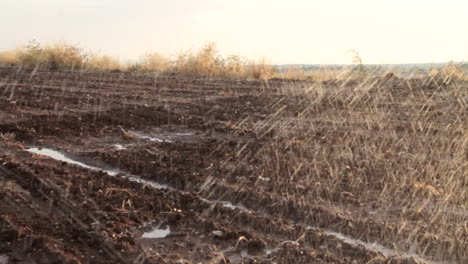 arroser un champ avec du matériel d'irrigation