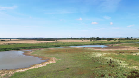 High-above,-video-footage-showcases-the-captivating-saltwater-marshes-of-the-Lincolnshire-coastline,-highlighting-seabirds-in-flight-and-on-the-lagoons-and-inland-lakes