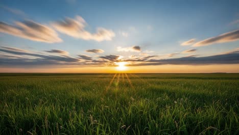 golden sunset over a lush green field with streaky clouds