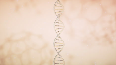 dna double helix structure: 3d render