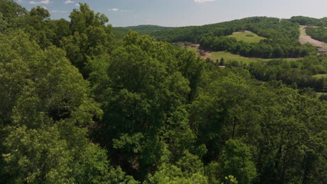 aerial flyover tree tops in hogscald hollow beaver lake, summer time landscape