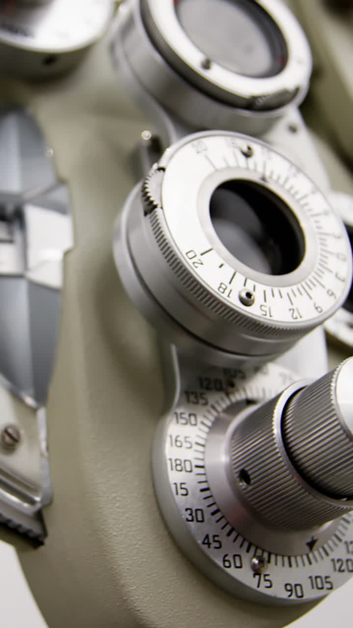 Close-up of chiropter