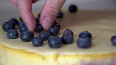 Hand-Eines-Kaukasischen-Mannes,-Der-Die-Oberseite-Des-Käsekuchens-Mit-Frischen-Blaubeeren-Dekoriert