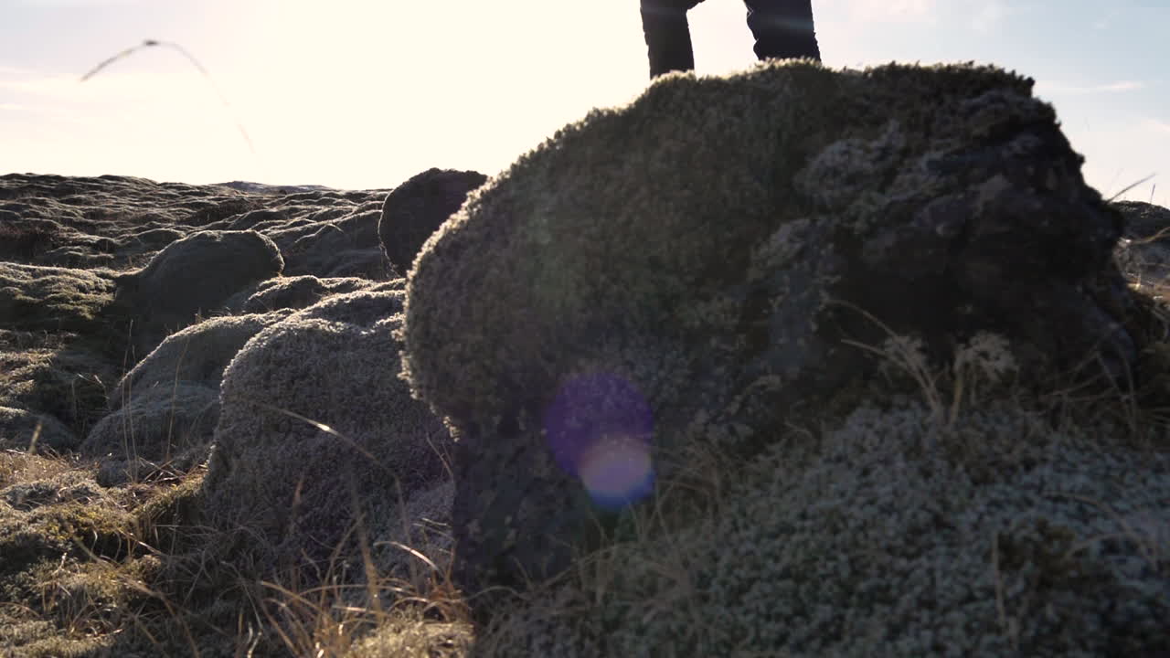 이끼로 덮인 아이슬란드 용암 밭을 걷는 젊은 남성 여행자