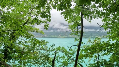 스위스 이젤트드 (iseltwald) 의 아름다운 마을인 인터라켄 (interlaken) 에서 촬영된 사진입니다.