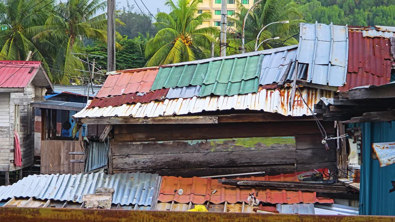 A close-up shot of the weathered and rusted tin roofs of various poor stilt houses in a village in Kota Kinabalu, Sabah, Malaysia, cat on the roof