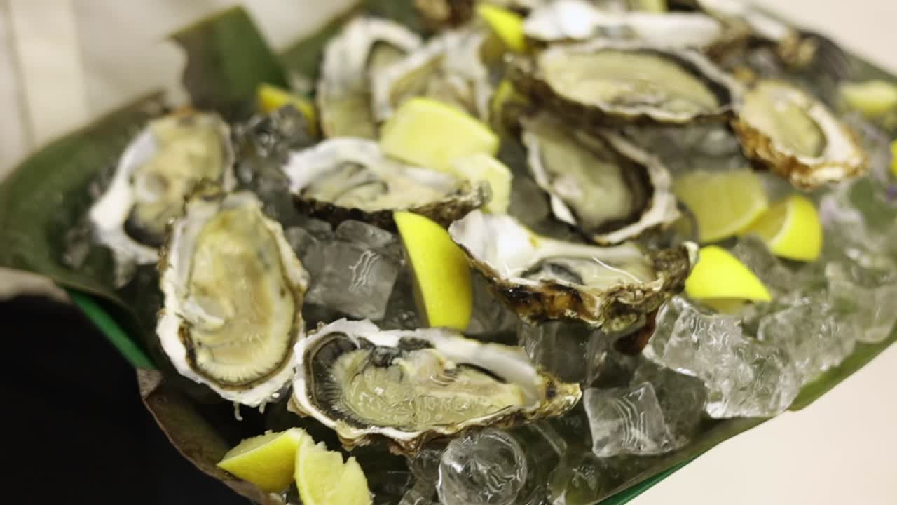 얼음 위의 오스트리