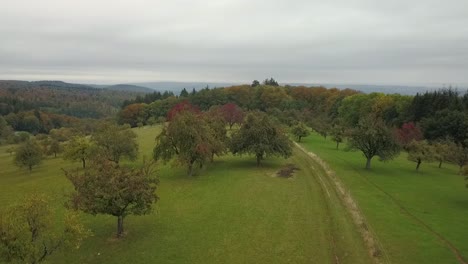 ascendiendo sobre una hermosa zona montañosa con camino de tierra durante la temporada de otoño foogy, alemania