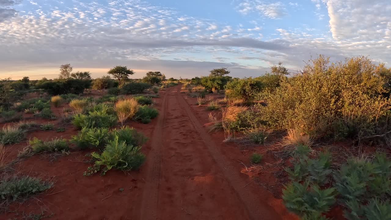 una curva de tiempo de un vehículo que conduce a través del matorral del sur de kalahari, el paisaje exuberante de la sabana pasa durante la hora dorada de la mañana