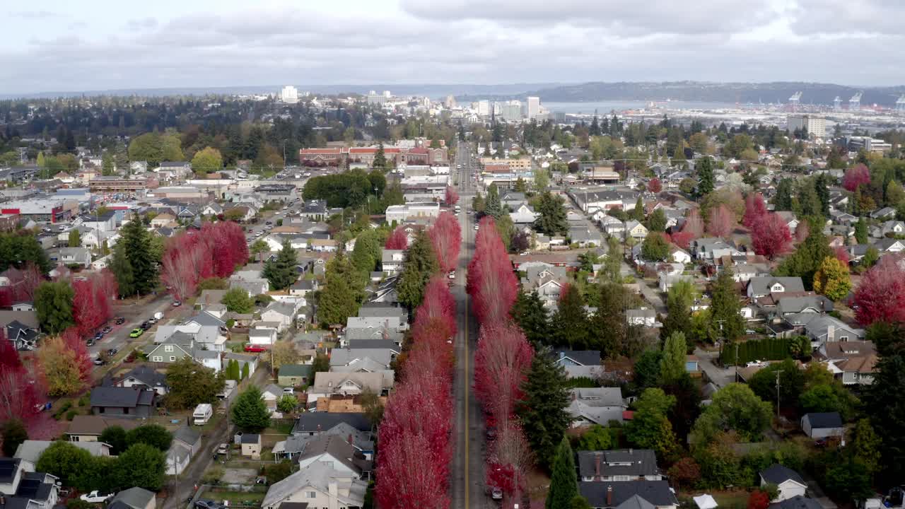 Houses In Neighborhood Lined With Red Maple Trees In Tacoma, Washington. ascending drone shot