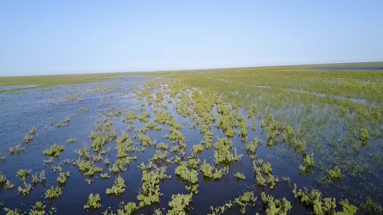 Drone shot The marshes of Iraq Mesopotamian Marshes