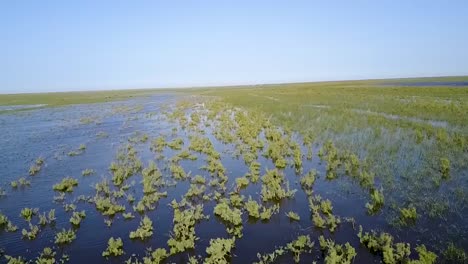 drone shot the marshes of iraq mesopotamian marshes