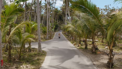 above view couple riding scooter on tropical island exploring palm tree forest on motorcycle tourists explore holiday destination with motorbike