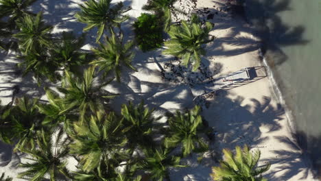 Wooden-pier-on-tropical-palm-beach-washed-by-sea-waves,-overhead-shot