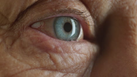 close up macro blue eyes old woman looking curious healthy middle aged eyesight concept