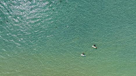 Surfers-walking-in-crystal-clear-water-with-their-boards,-Reunion-island