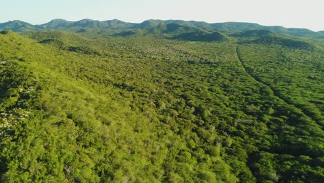 Avance-Aéreo-Sobre-El-Bosque-Cerca-De-La-Playa-Popa